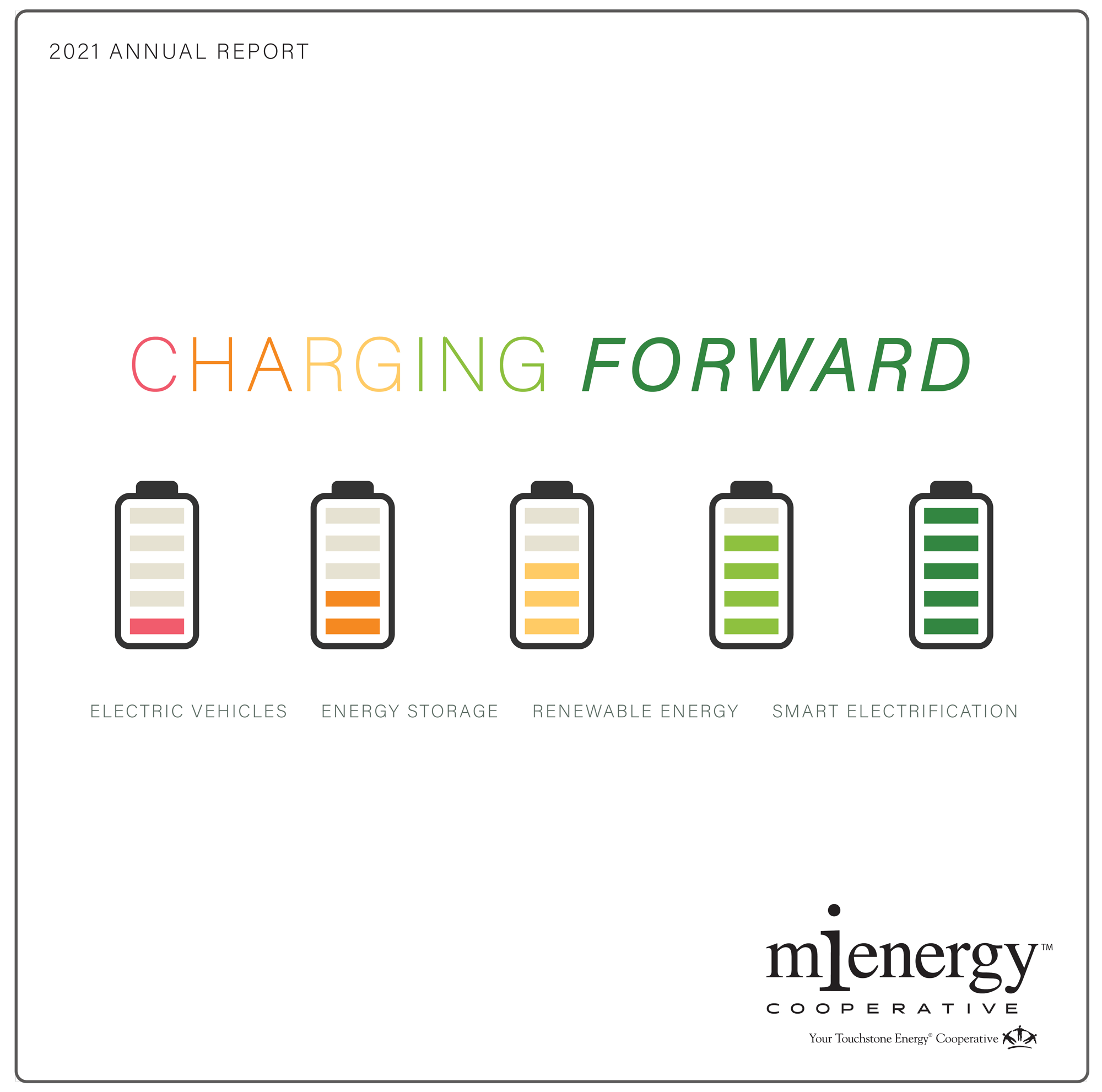 annual report cover