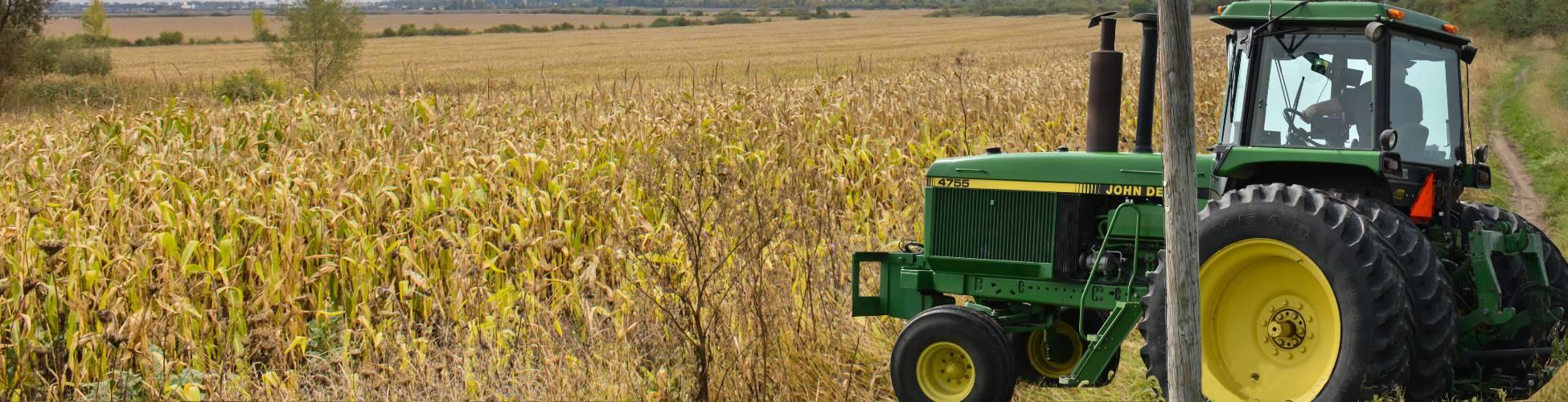 harvest