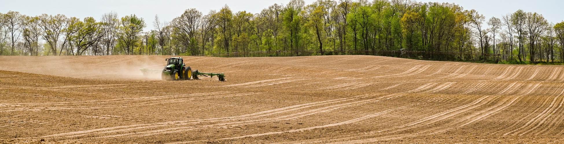 planting